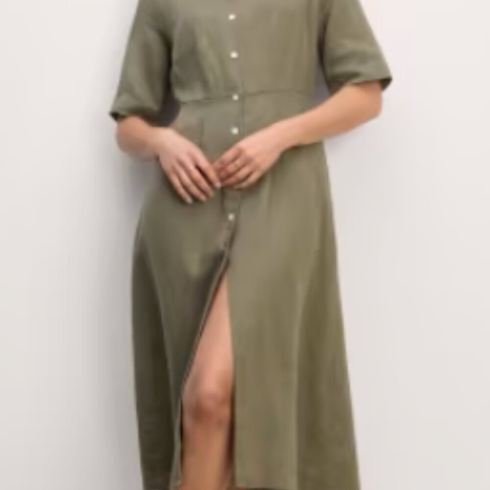 NWT Everlane Frolic Dress in Linen